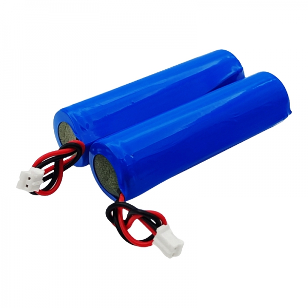 VRLA AGM Start-Stop Battery
